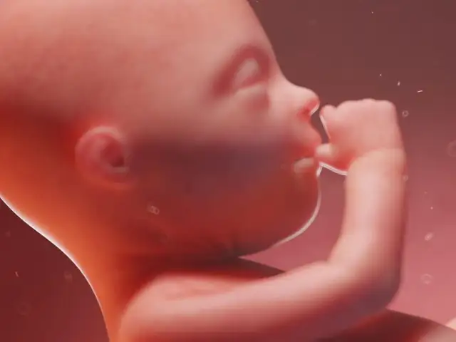 Jak wygląda dziecko w 20 tygodniu ciąży - co powinieneś wiedzieć?