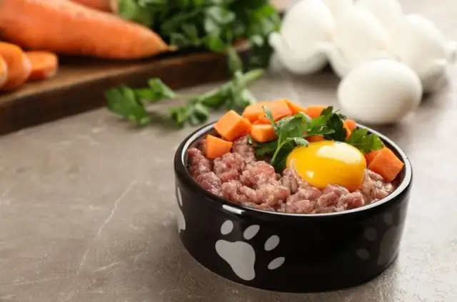 Surowe jajko dla szczeniaka: Bezpieczne? Ekspert radzi, jak podawać