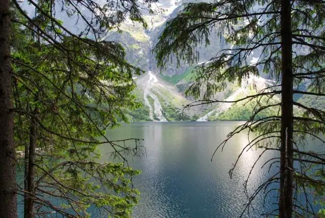 Spokojne Morskie Oko latem, otoczone zielenią drzew i majestatycznymi górami.
