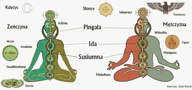Poza 7 czakr: Kundalini i mistrzostwo energii dla zaawansowanych
