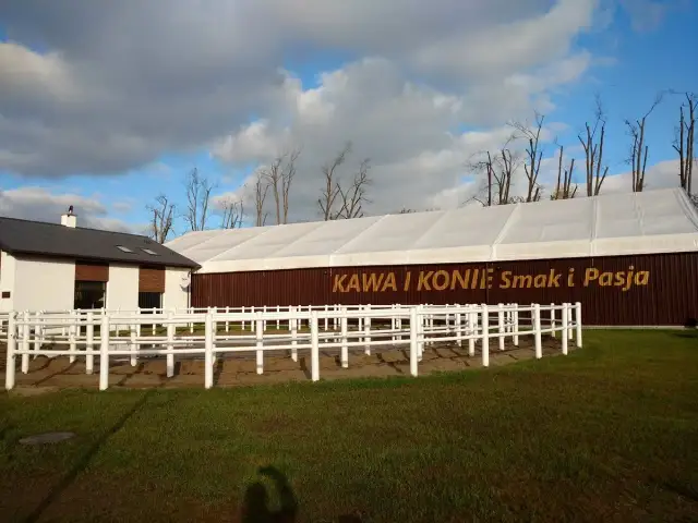 Najlepsze stadniny koni w Rumii - sprawdź opinie i oferty jazdy