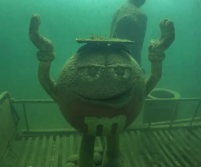 Najlepsze atrakcje Jeziora Tarnobrzeskiego, które musisz poznać