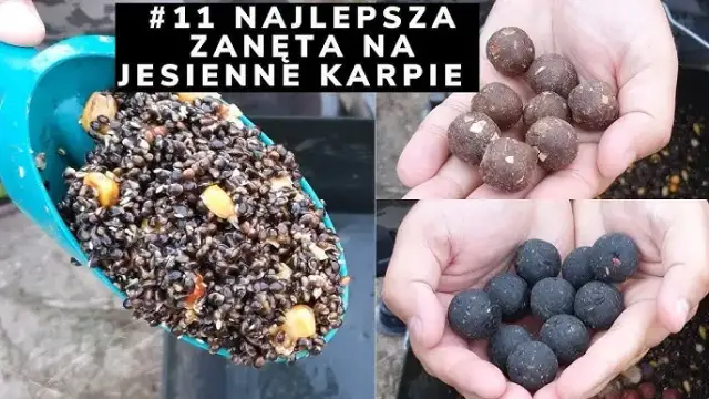 Najlepsza zanęta na karpia: Skuteczne przepisy i porady (do 70 znaków)