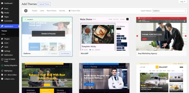 Domena do WordPressa: Podłącz ją krok po kroku (różni dostawcy)