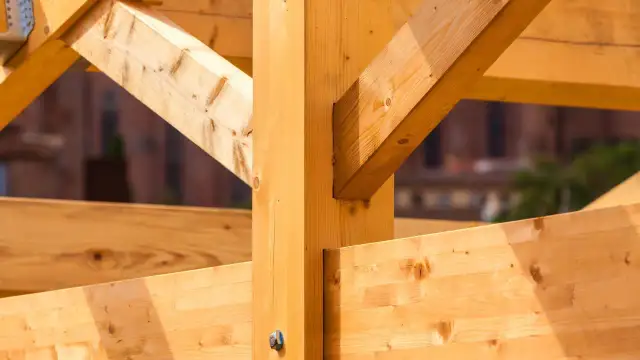 Jakie drewno na dachy wybrać? Kluczowe cechy i porady ekspertów