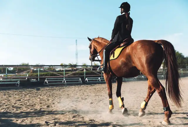 Czy jeżdżąc konno można schudnąć? Odkryj skuteczne sposoby na wagę