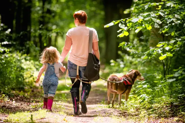 Gdzie na spacer z psem w okolicach Warszawy? Odkryj najlepsze miejsca