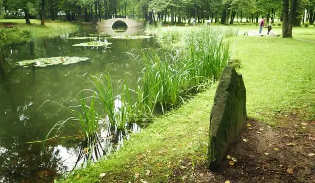 Najlepsze atrakcje w Suchej Beskidzkiej, które musisz zobaczyć
