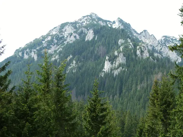 Kominiarski Wierch: Szlak zamknięty? Legalne alternatywy i widoki