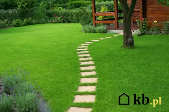 Wyrównanie terenu pod trawnik: Ile kosztuje i jak zaoszczędzić?