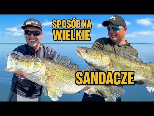 Wędkarstwo na Jamnie: Złap sandacza! Kompletny przewodnik