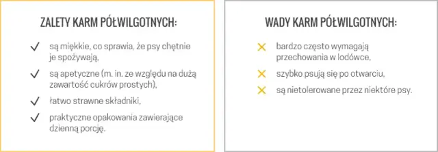 Sucha czy mokra karma dla psa? Porównanie, wady i zalety.