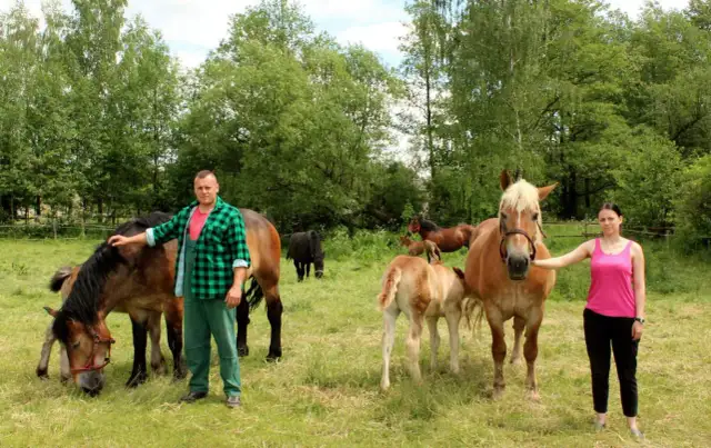 Pańskie oko konia tuczy – co to znaczy i jak wpływa na sukces?
