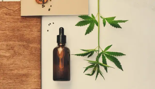 Jak przechowywać olejek CBD, aby nie stracił swoich właściwości?