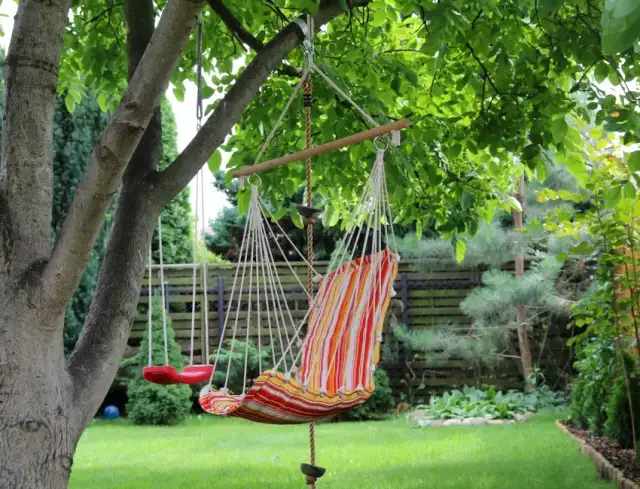 Jak zamontować huśtawkę na drzewie bez ryzyka uszkodzenia drzewa