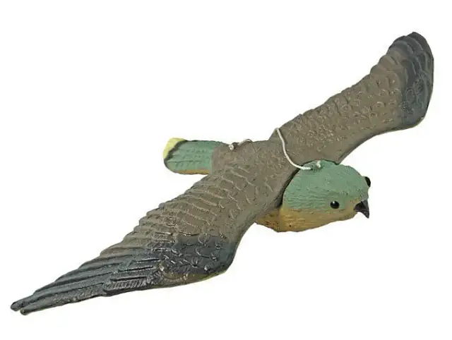 Ptaki na elewacji? Skuteczne odstraszanie gołębi, dzięciołów i innych!