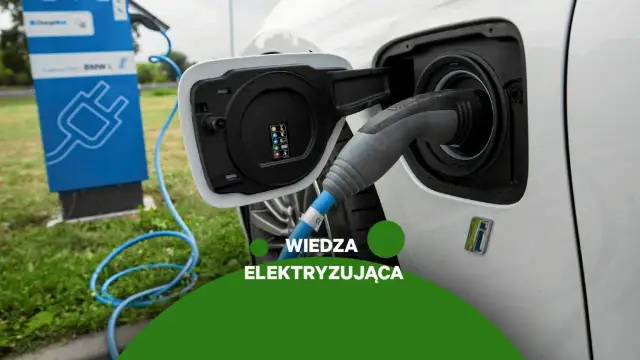 Ile pali samochód elektryczny? Zaskakujące różnice w zużyciu energii