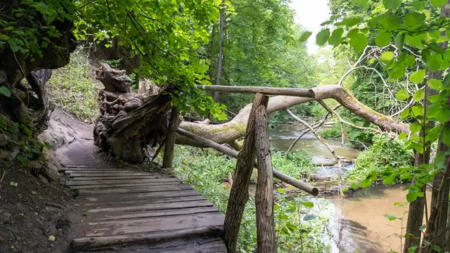 Roztocze atrakcje: Odkryj najpiękniejsze miejsca i aktywności