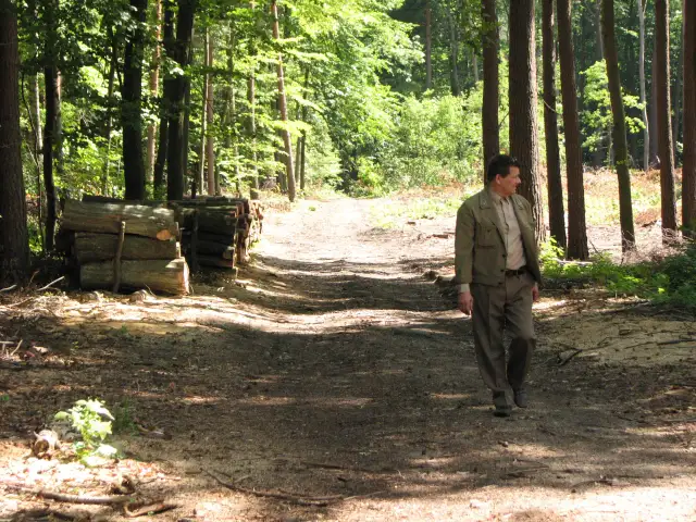 Leśnictwo praca po studiach: Jak uniknąć trudności w zatrudnieniu?