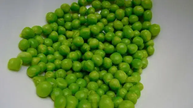 Czy groszek konserwowy jest dietetyczny? Odkryj jego prawdziwą wartość odżywczą