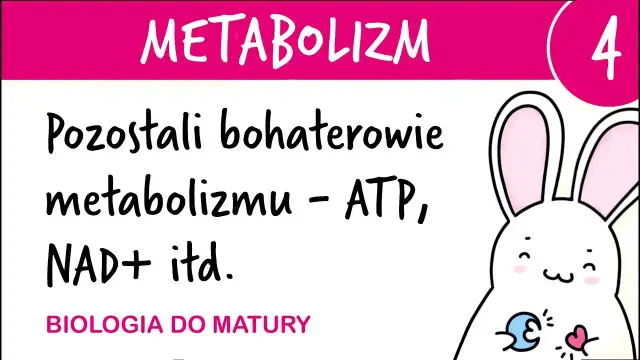 ATP w biologii: co to jest i jak wpływa na życie komórek