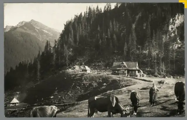 Jak budowano szlaki w Tatrach? Poznaj sekrety dawnych mistrzów.