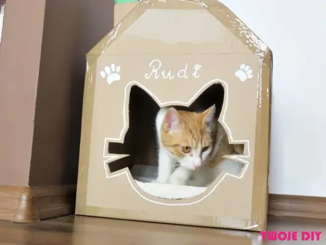 Kartonowy domek dla kota: Zrób to sam! Prosty poradnik DIY