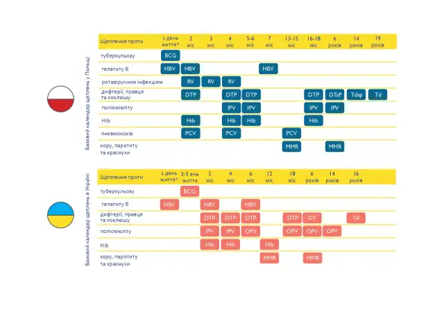 Kalendarz szczepień w Polsce i na Ukrainie. Szczepienie na 18 lat jest zaznaczone w obu krajach.