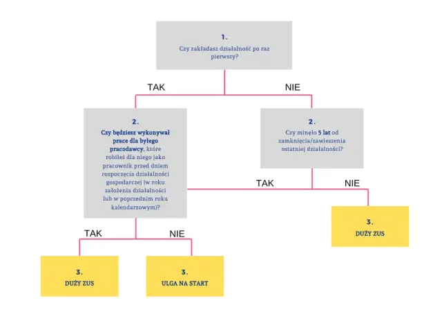 Jak uniknąć ZUS i zaoszczędzić na składkach w Polsce