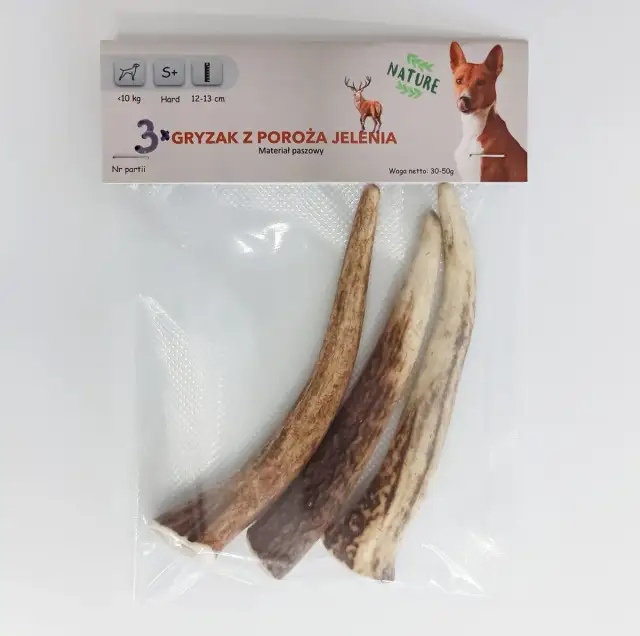 Róg jelenia dla psa od kiedy? Dowiedz się, kiedy jest bezpieczny