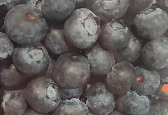 Borówki: Ile kalorii? Czy to sekret diety i długowieczności?