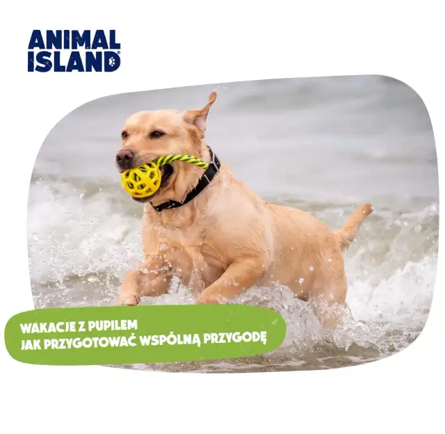 Suka zjada szczeniaki? Instynkt, choroba czy stres? Poznaj prawdę.