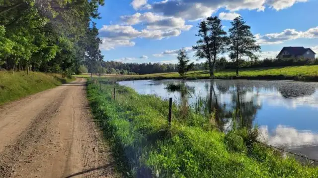 Najciekawsze atrakcje w Żukowie, które musisz zobaczyć podczas wizyty