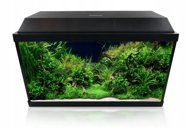 Jakie oświetlenie do akwarium 60l zapewni zdrowe rośliny i ryby