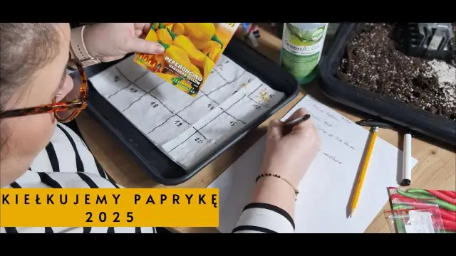 Jak głęboko siać paprykę, aby zapewnić udane kiełkowanie?