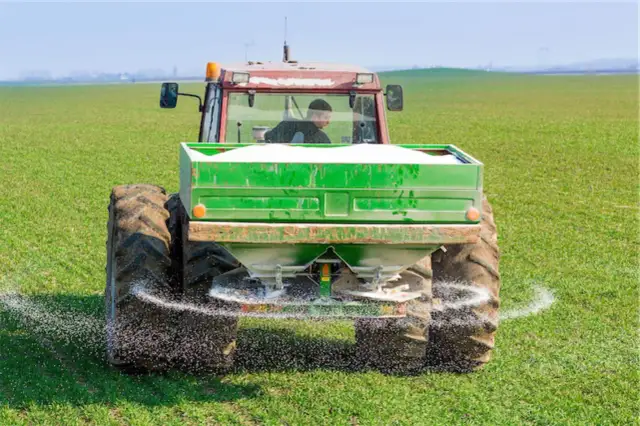 Traktor rozsypuje nawóz na zielonym polu. To przykład działań, które mogą być częścią "zielonego ładu dla rolników", mającego na celu zrównoważone rolnictwo.