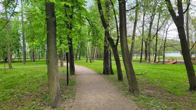 Najlepsze atrakcje w Proszowicach, które musisz zobaczyć i przeżyć