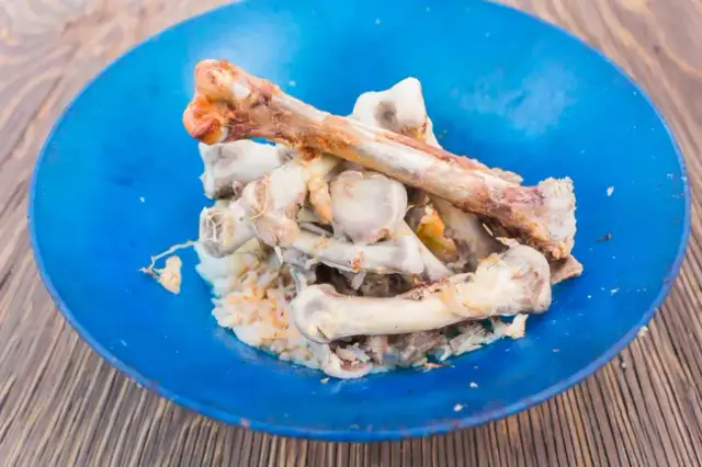 Kości dla psa: Gotowane to śmiertelne zagrożenie! Surowe? Jak bezpiecznie?