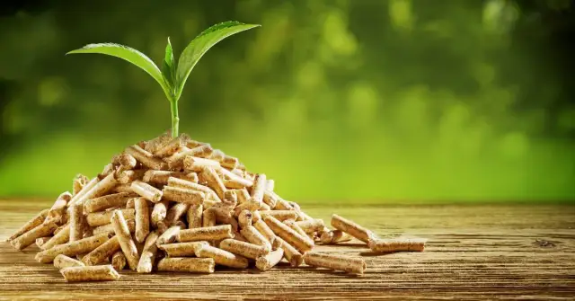 Ile dopłaty do pelletu można dostać? Sprawdź warunki i korzyści