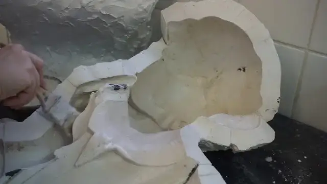 Rzeźby gipsowe: historia, style i jak stworzyć własne dzieła