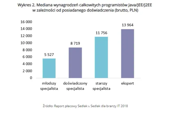 Ile zarabia informatyk po studiach? Zaskakujące fakty o wynagrodzeniach