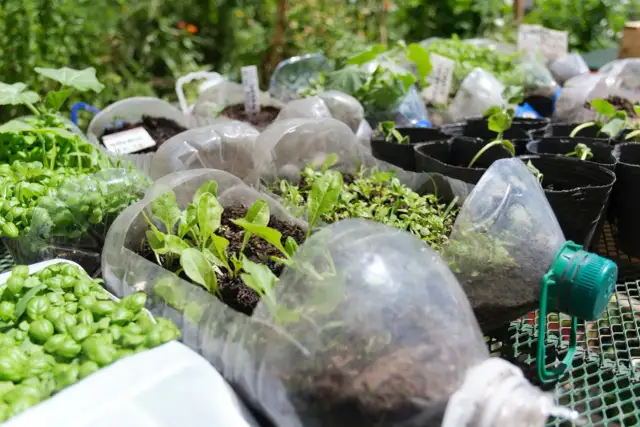 Praktyczne pomysły na to, co można zrobić z butelek plastikowych do ogrodu