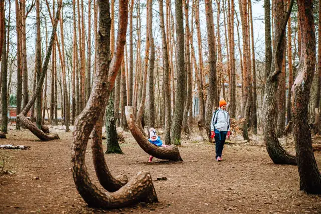 Najlepsze atrakcje w Gryfino, które musisz zobaczyć podczas wizyty