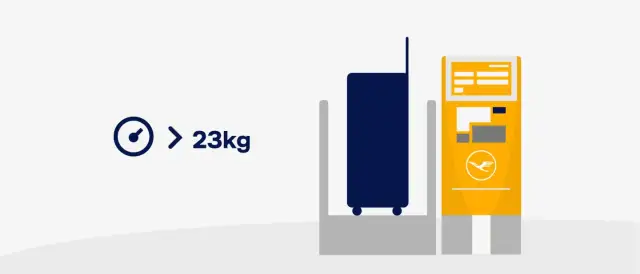 Lufthansa Gepäckbestimmungen: Kosten & Regeln einfach erklärt