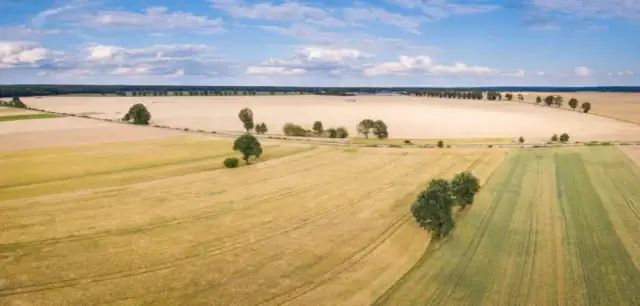 Ile kosztuje dzierżawa gruntu od miasta? Ceny, które zaskakują