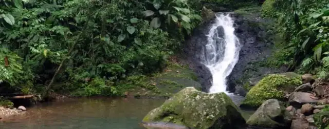 Najciekawsze atrakcje w Gwadelupie, które musisz zobaczyć