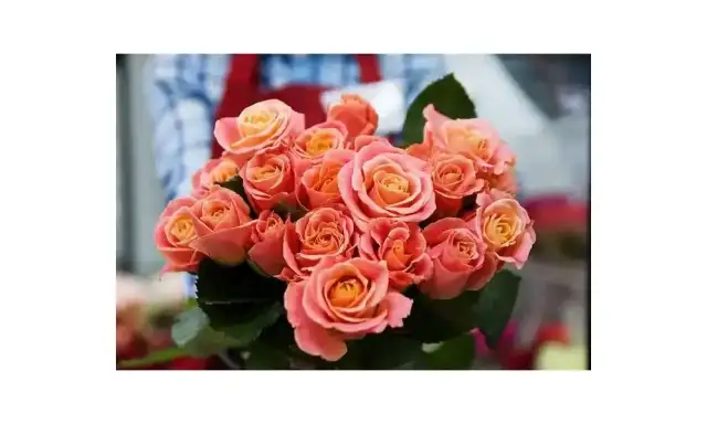 Jak wybrać kwiaty dla dziewczyny? Poradnik + symbolika