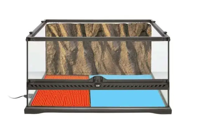 Jaką matę grzewczą do terrarium wybrać, aby zapewnić zdrowie zwierząt?