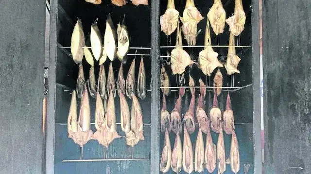 Jakie ryby wędzone nad Bałtykiem warto spróbować i dlaczego?