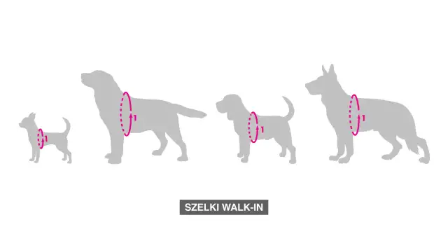 Szelki dla psa ciągnącego: Jak wybrać i spokojnie spacerować?